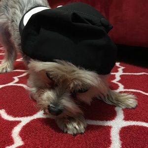 Meet your Posher, Nick